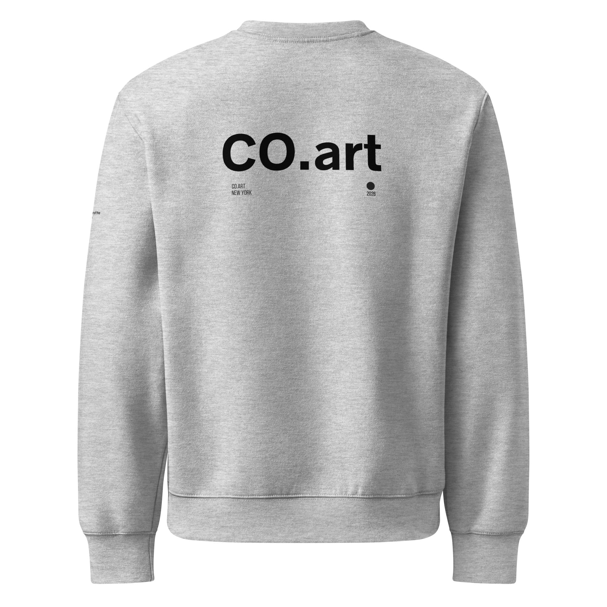 Felpa oversize grigia streetwear con scritta nera "CO.art" sul retro, stile grafica manifesto e messaggio forte.