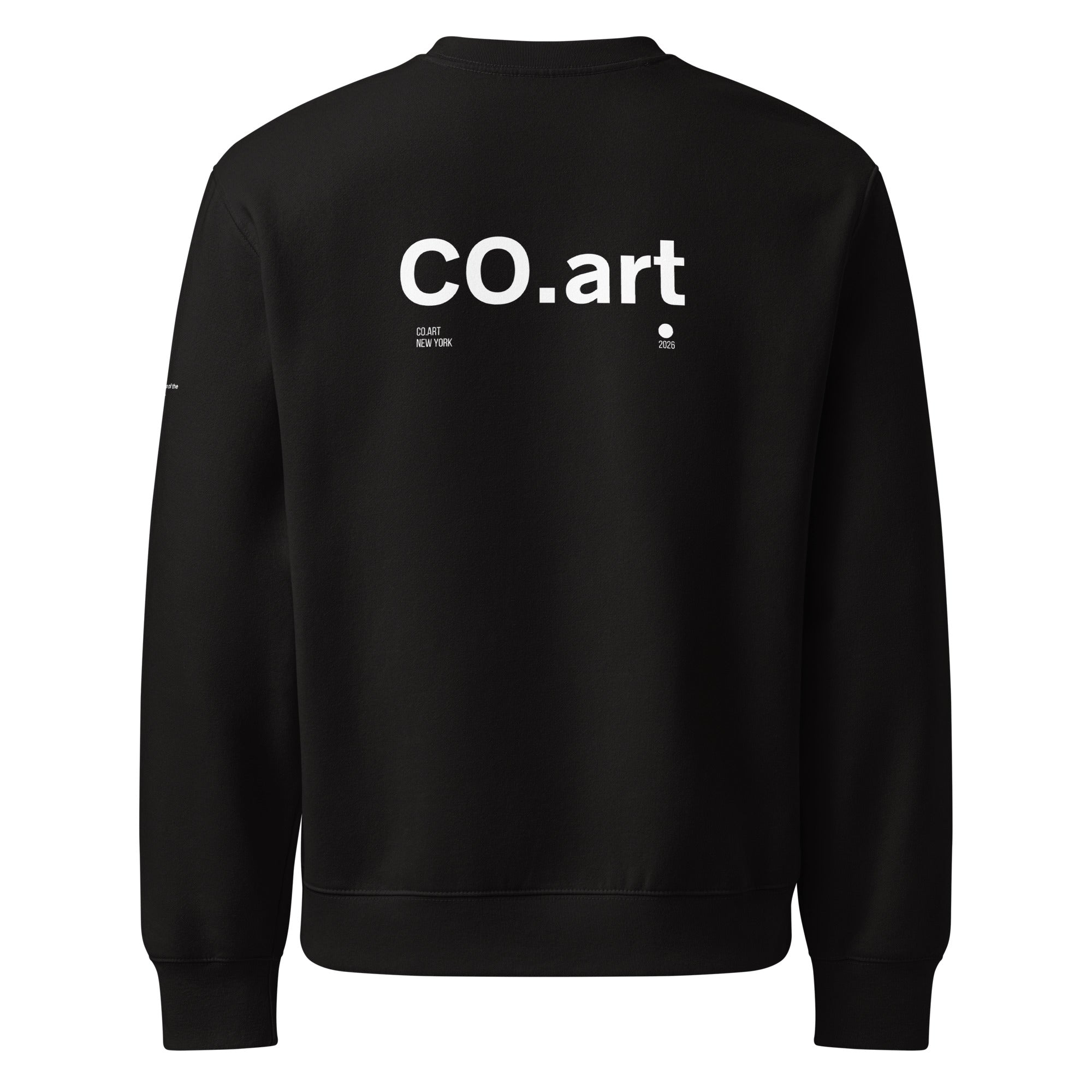 Felpa nera oversized con grafica bianca "CO.art" sul retro, stile streetwear, messaggio forte manifesto unisex.