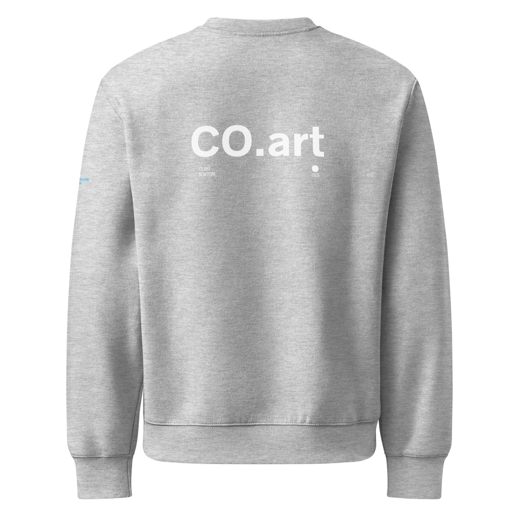 Felpa oversize grigia con scritta bianca "CO.art" sul retro, stile streetwear grafica manifesto messaggio forte.