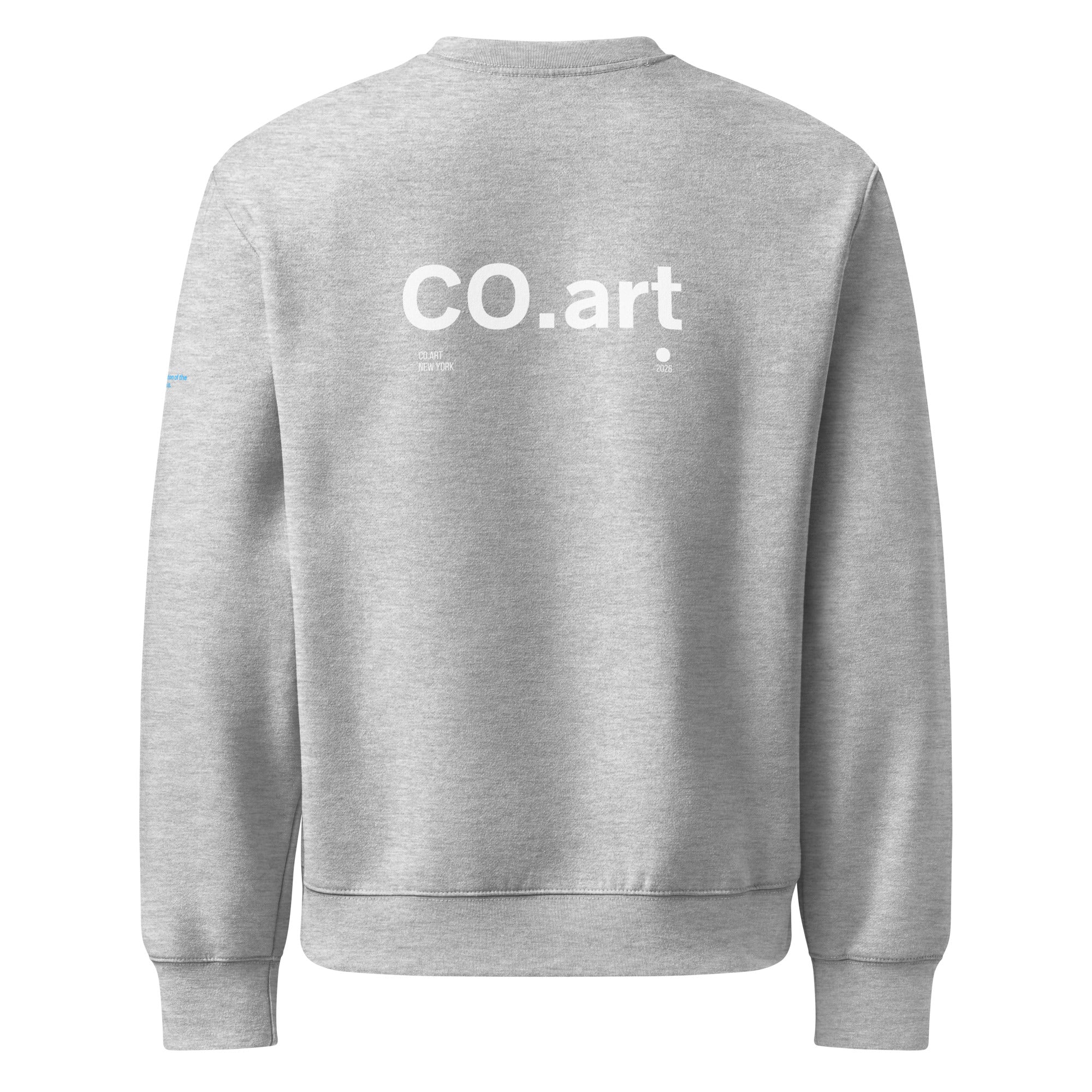 Felpa oversize grigia con scritta bianca "CO.art" sul retro, stile streetwear grafica manifesto messaggio forte.