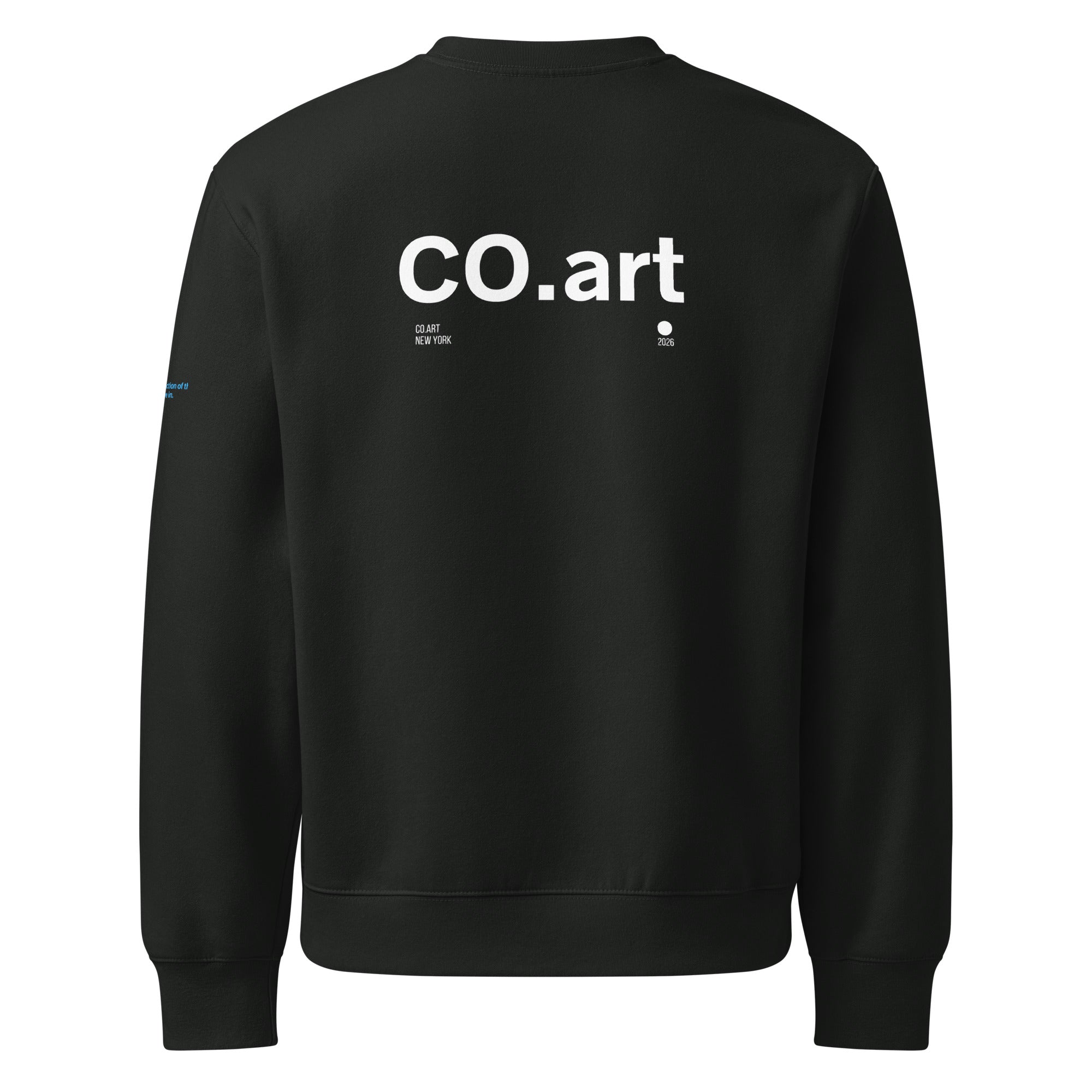 Felpa oversize vintage nera con grafica bianca "CO.art" a caratteri grandi sul retro, stile streetwear con messaggio forte e .