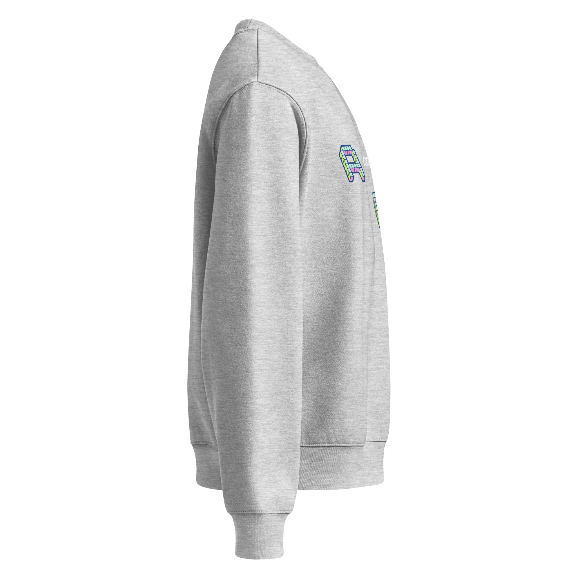 Felpa girocollo oversized grigia con grafica frontale colorata e messaggio forte in stile streetwear manifesto.