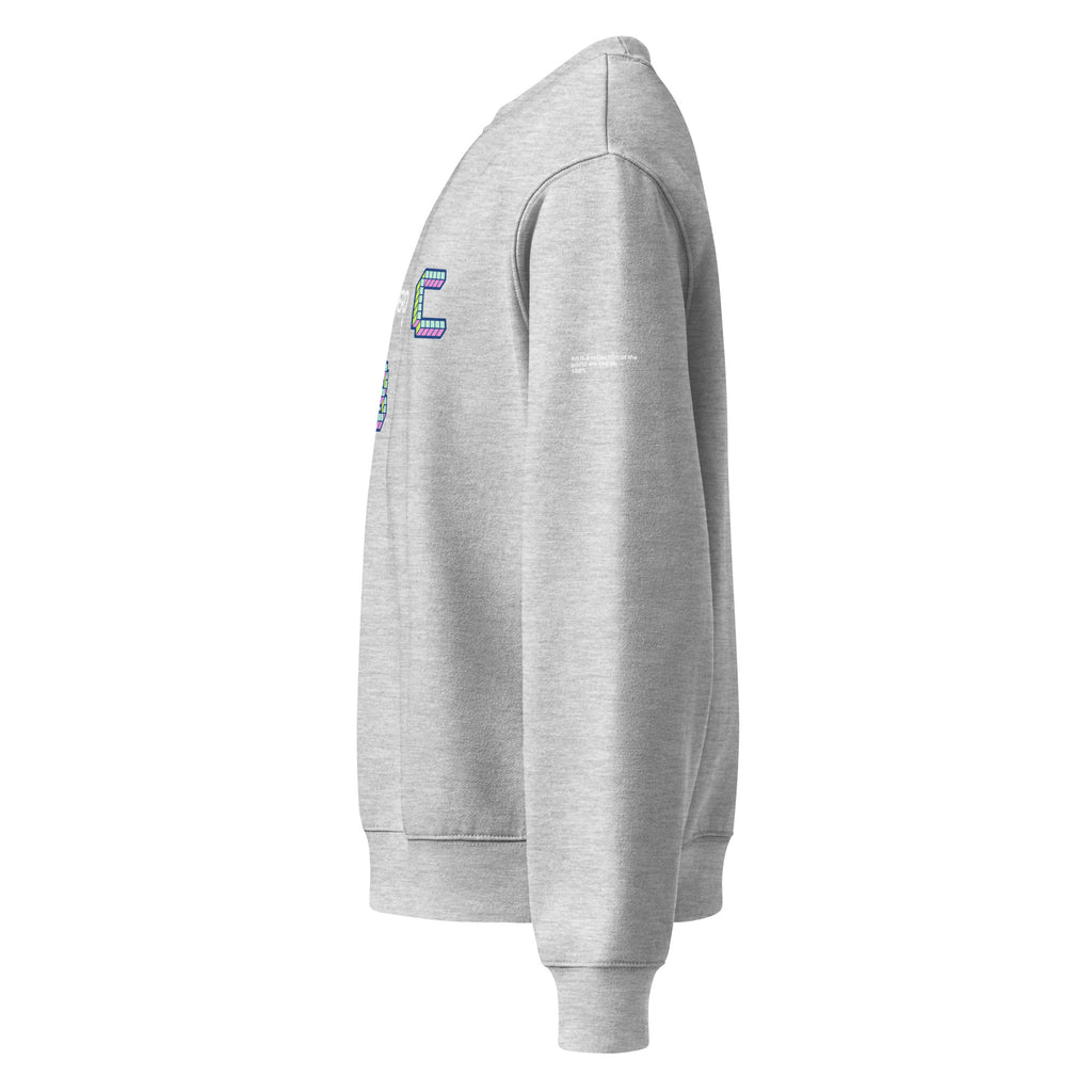 Felpa girocollo oversized grigia con scritta bianca e dettagli colorati, stile streetwear con grafica manifesto e messaggio.
