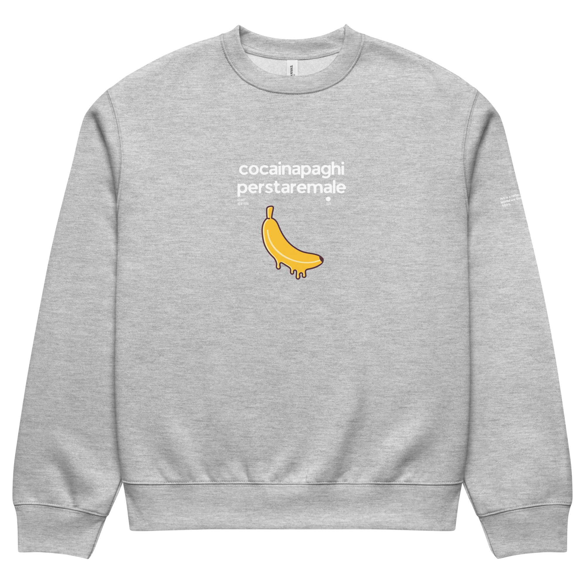 Felpa girocollo oversized grigia con grafica streetwear. Scritta bianca "cocainapaghiperstaremale" sopra un'illustrazione.