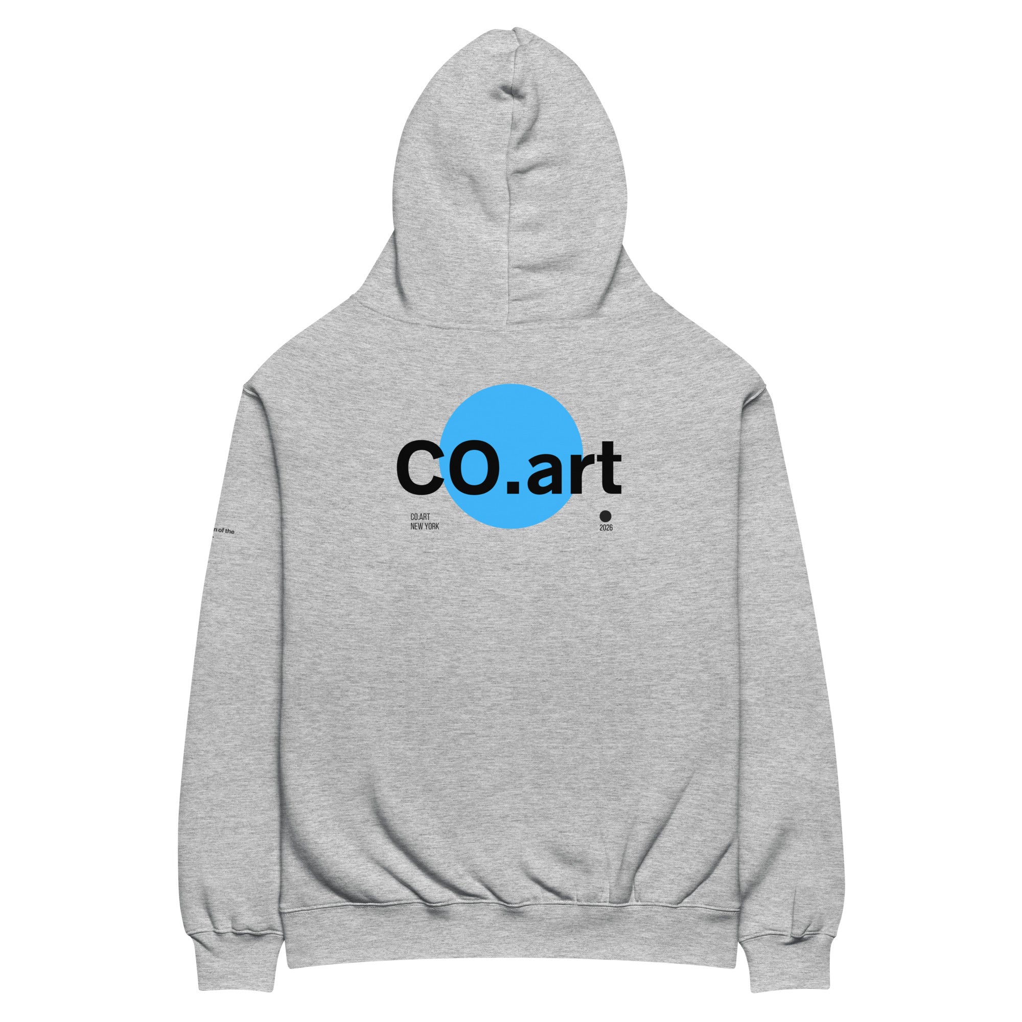 Felpa con cappuccio grigia oversized con grafica streetwear sul retro, cerchio blu con scritta nera "CO.